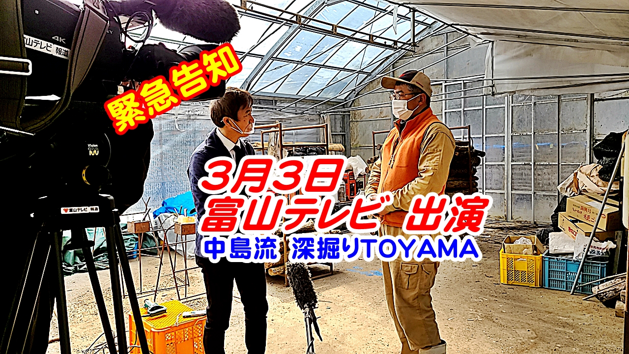 富山テレビ【中島流！深掘りTOYAMA】に出演／原木椎茸・日本の森林課題・関係人口