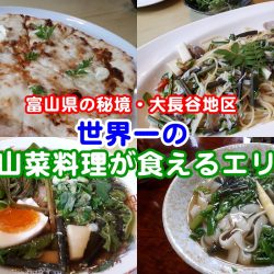 世界一の山菜料理エリア・富山市大長谷地区／イタリアン・手打ち蕎麦・新たな自然栽培フォー