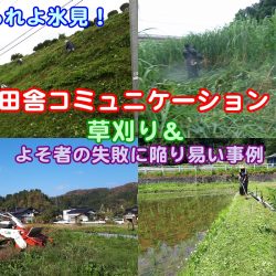 田舎コミュニケーション＝草刈り＆よそ者の失敗に陥りやすい事例