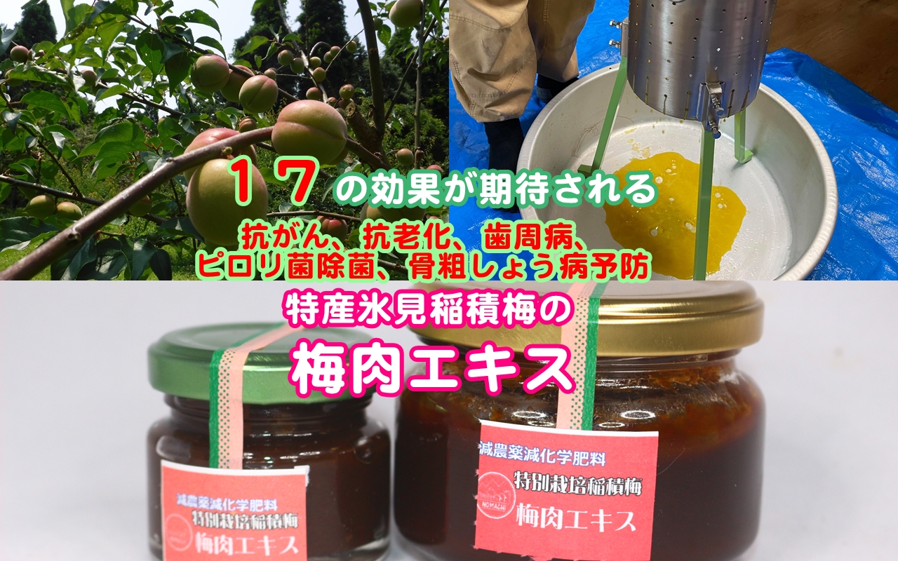 減農薬減化学肥料・特別栽培稲積梅の梅肉エキス・17の効果