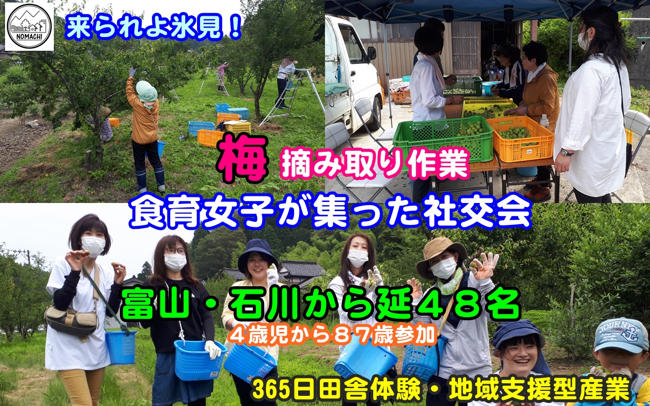 関係人口延４８名集った梅社交界？！/農業支援・地域連携・９次産業