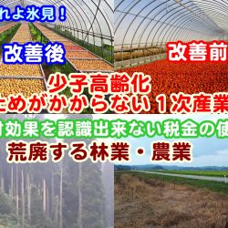 小農家、小規模農家と離れる行政や農協・森林組合・費用対効果がない事業計画／稲積梅を例にして