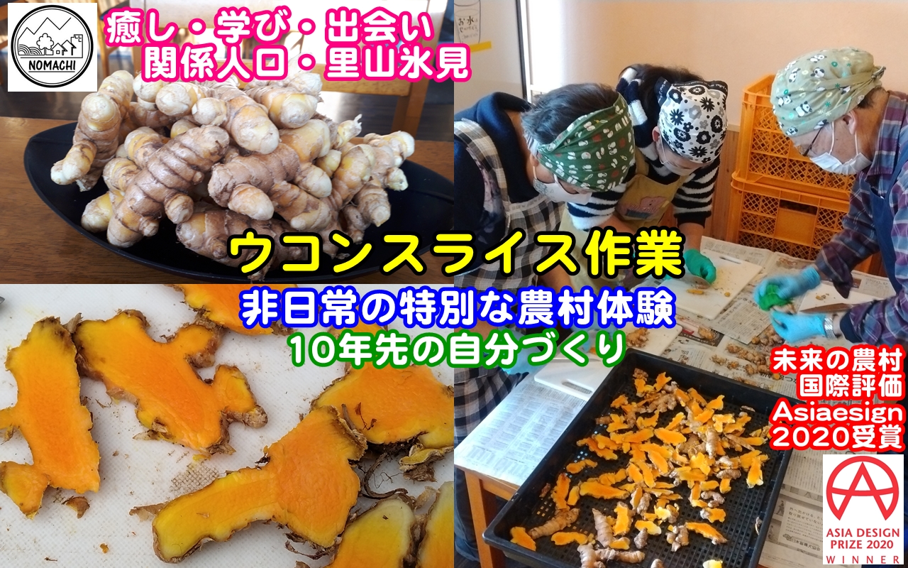 非日常の特別な農村体験／ウコンスライス作業