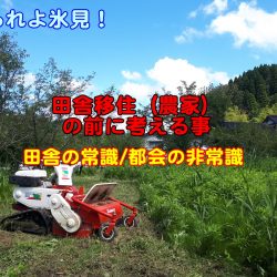 田舎移住の前に考えて!田舎の農業団体行政の実態