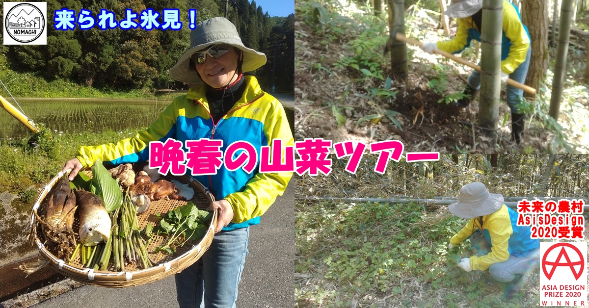 晩春の山菜採りツアー