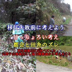 移住失敗前に考えよう／甘っちょろいぞ・元新居浜市別子山地域おこし協力隊から思う事