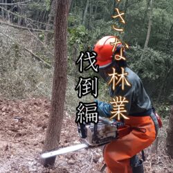 小さな林業（伐倒編）