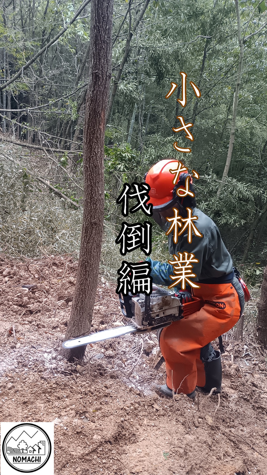 小さな林業（伐倒編）