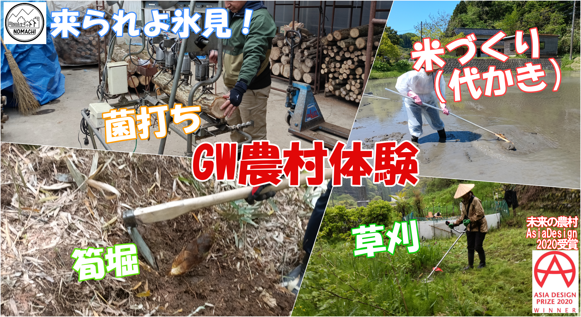 【GW農村体験】キノコの菌打ち・山菜（タケノコ・ヨシナ）採り／３６５日田舎体験