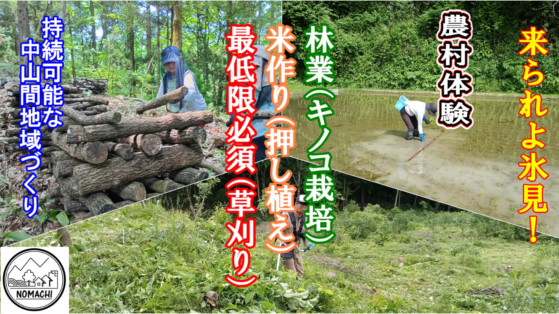 【農村体験】キノコ栽培、米づくり、最低限必須の草刈り