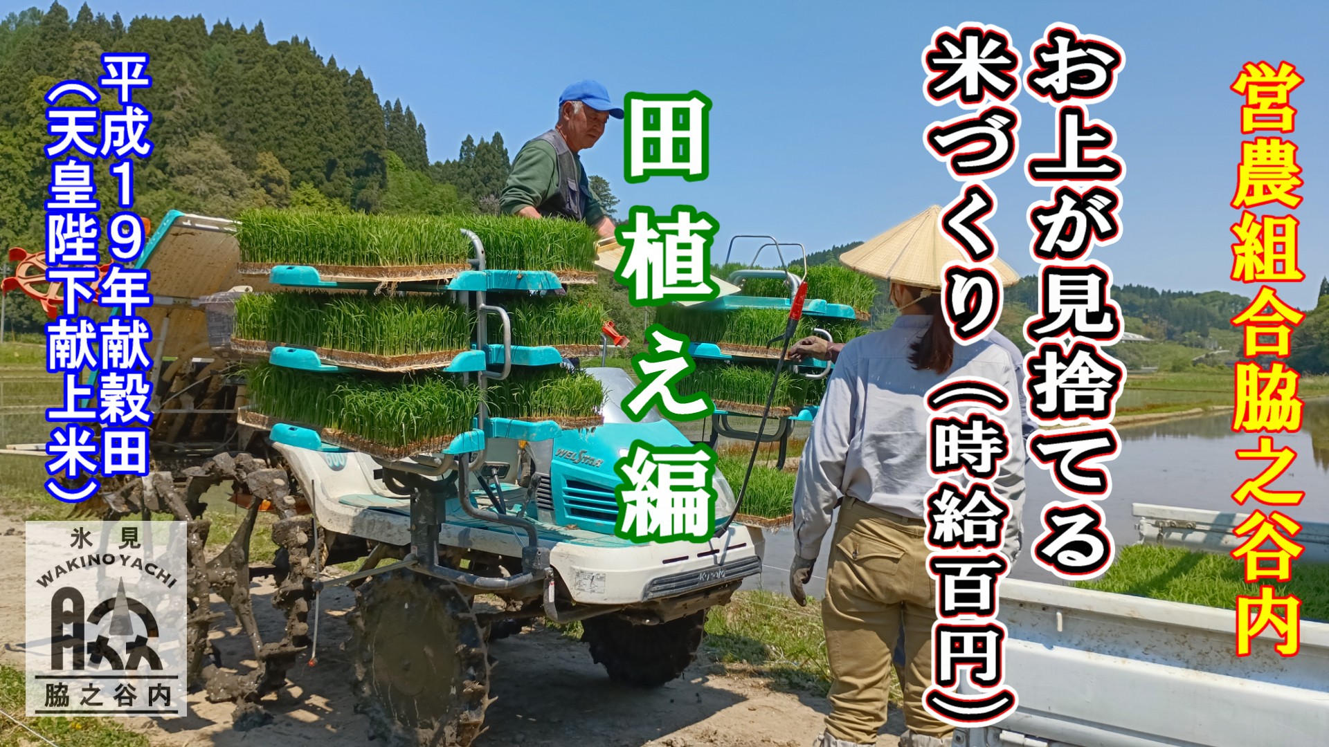 【お上が見捨てる米作り(時給１００円)】田植え編／３６５日田舎体験