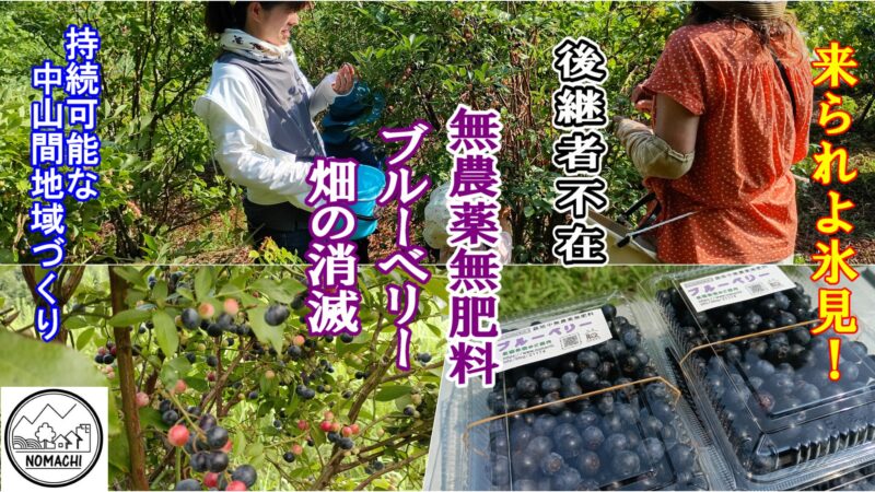 無農薬無肥料ブルーベリー狩り（夏休み親子体験）畑の消滅 | 都市と